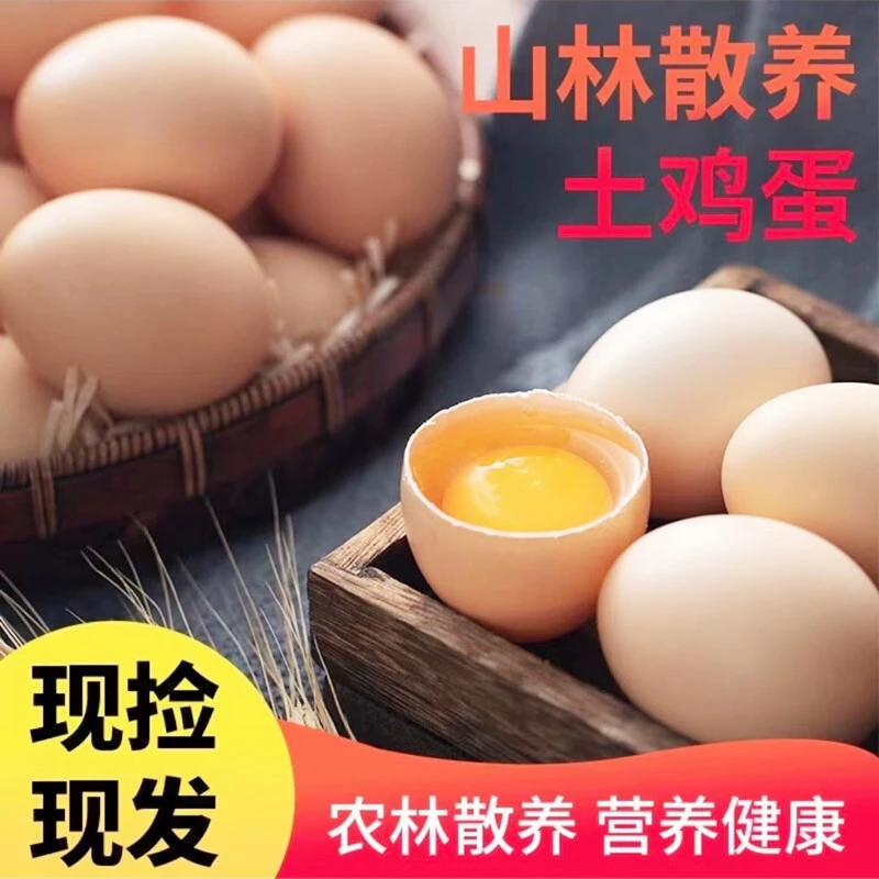 正宗土鸡蛋临安竹林农家散养新鲜纯农村自养天然40枚草鸡蛋笨鸡蛋