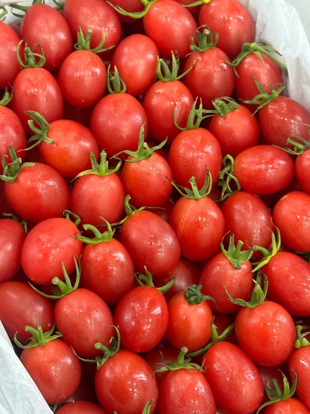 电白小番茄番茄同城配