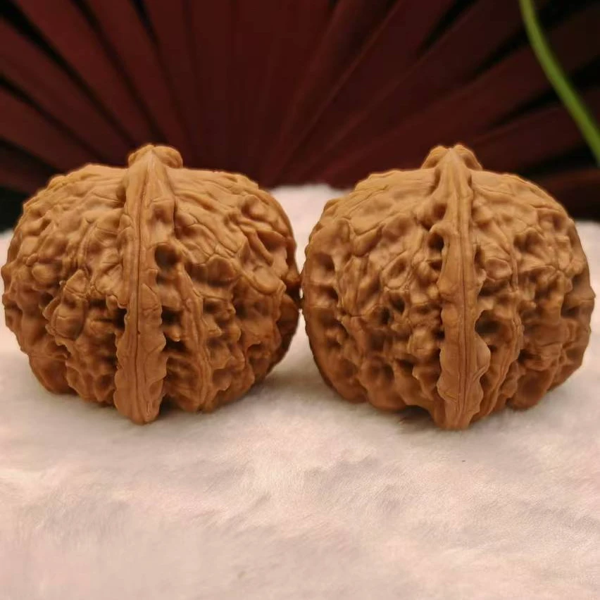 白狮子（有修）尺寸随机