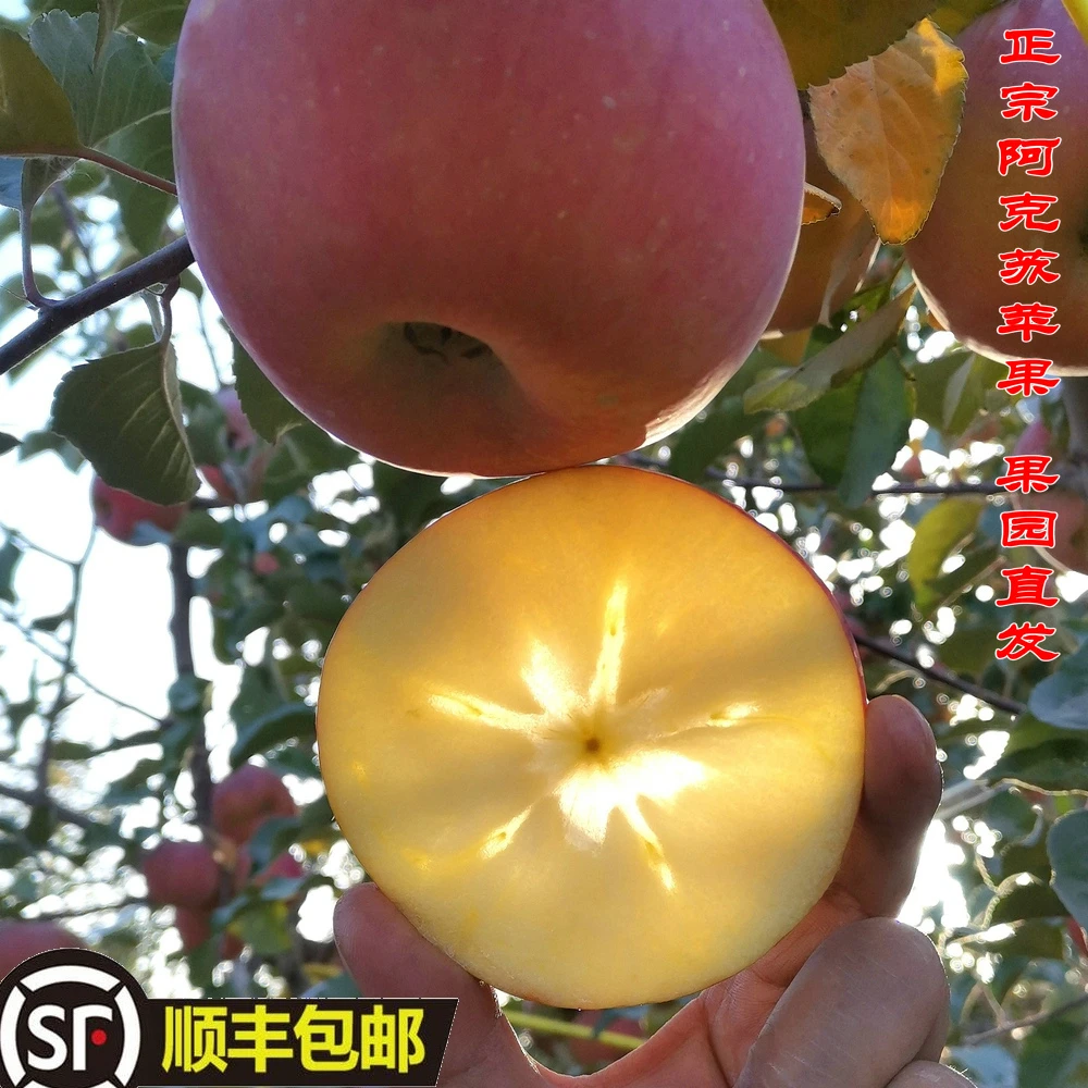 新疆阿克苏苹果冰糖心家庭装 产地果园直发 新鲜自然不水洗不打蜡