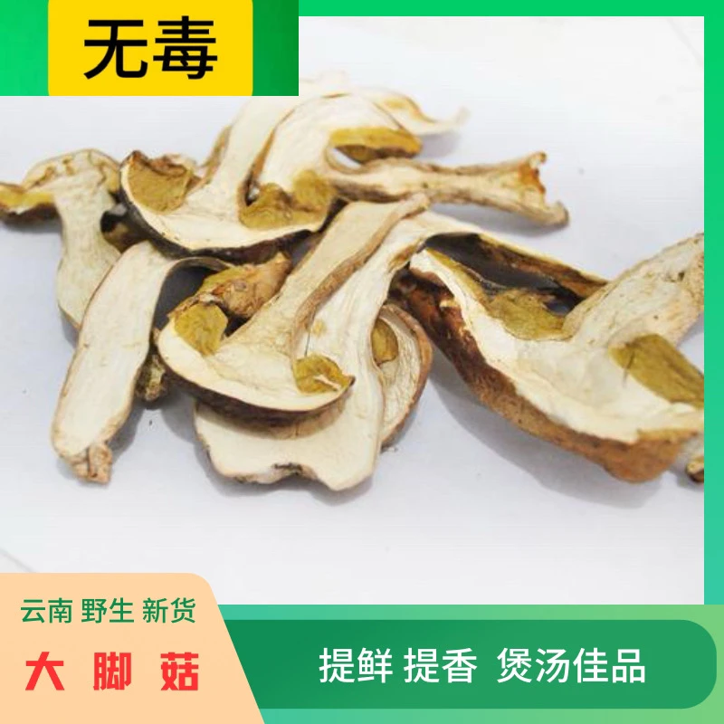 云南特产野生无毒大脚菇