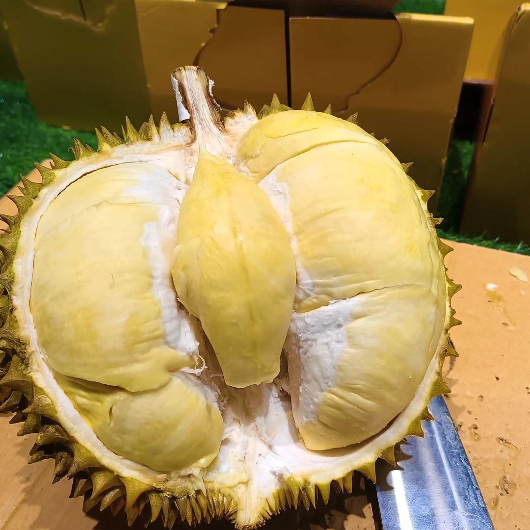 新鲜整果泰国金枕榴莲约1500g-4000g一果一拍(核小)榴莲小时达金枕泰国