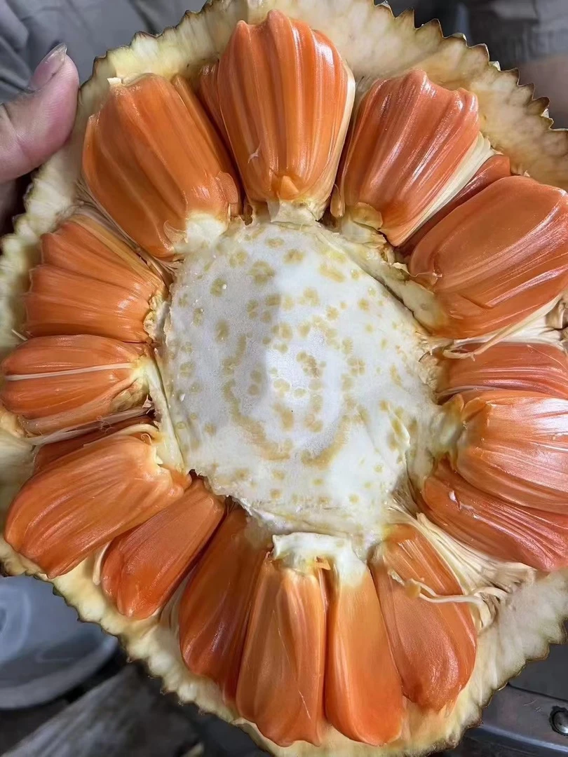 印尼红