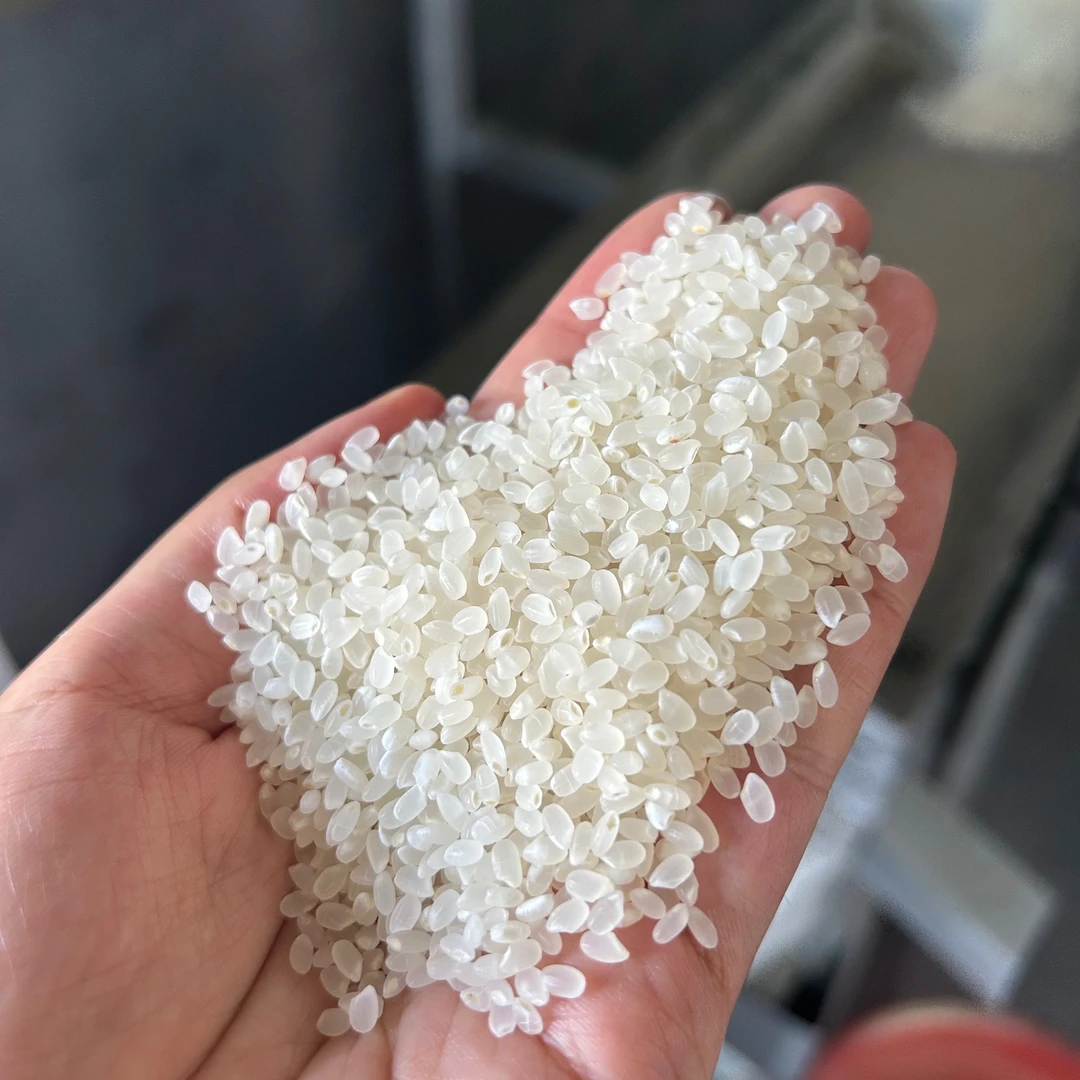 2024年东北延边新收大米吉宏6号10斤装 优选