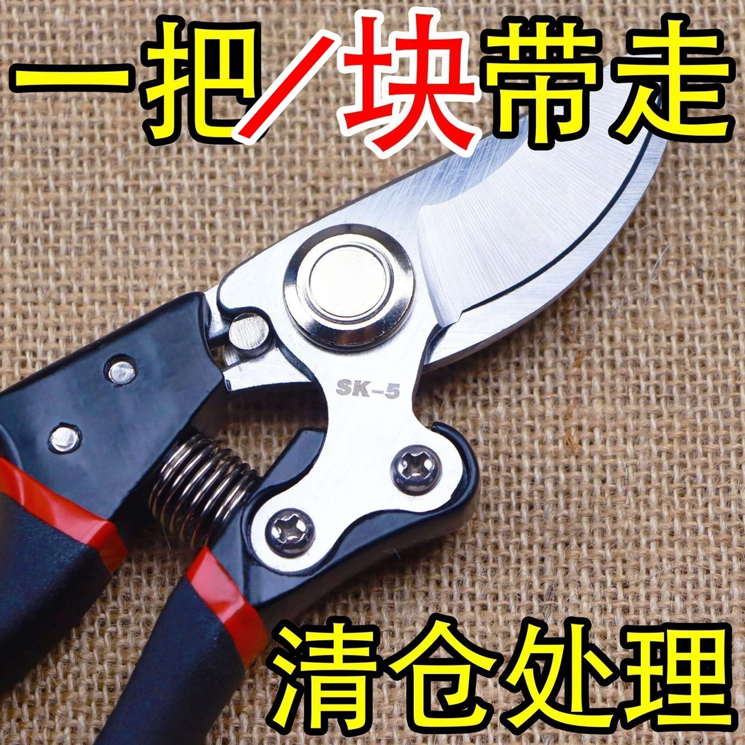 原装中系精工钢进口强力园艺修枝剪新款园林家用省力款花枝园艺剪