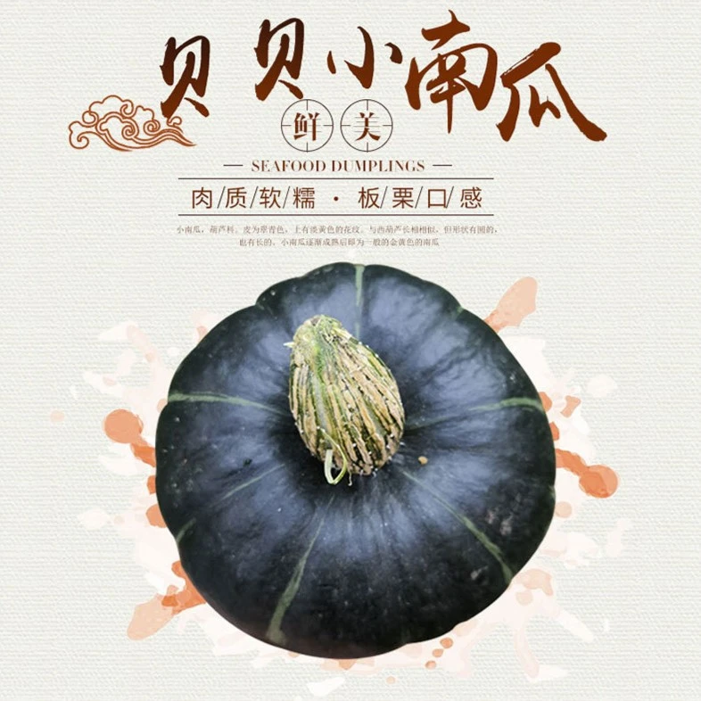 贝贝小南瓜 产地直发 4.5斤4-7个 天然美味