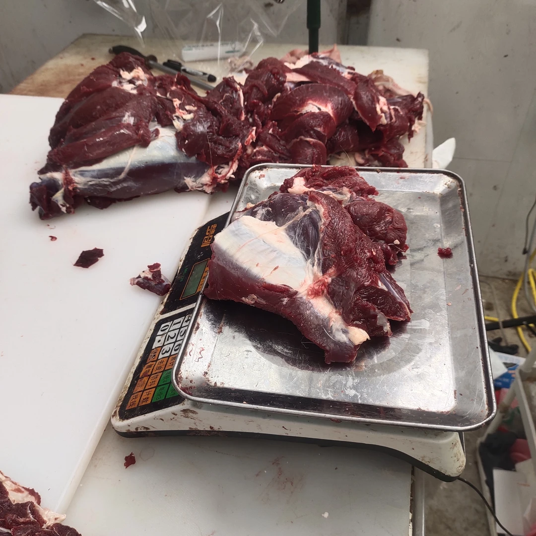 东北鹿乡鹿肉冷链运输