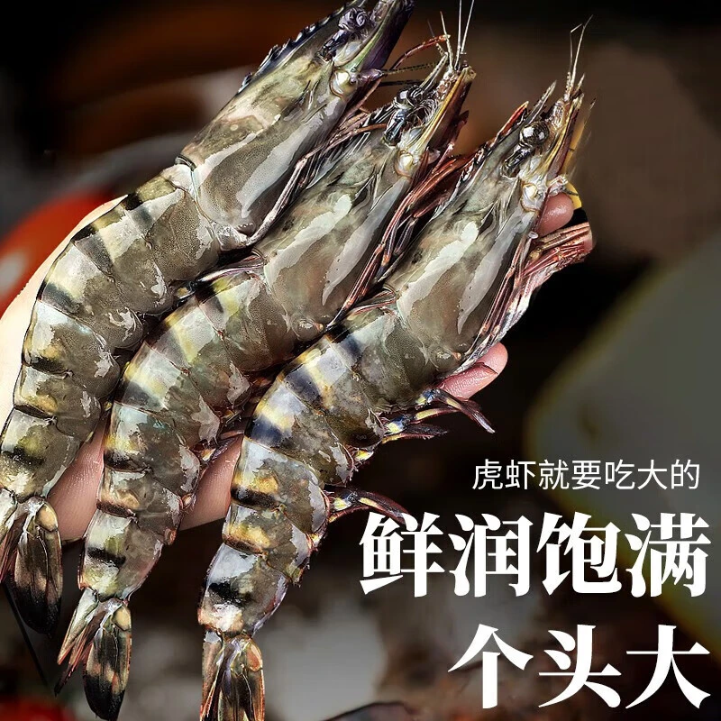 黑虎虾鲜活超大老虎虾速冻特大对虾基围虾鲜虾海虾无冰竹斑九节虾
