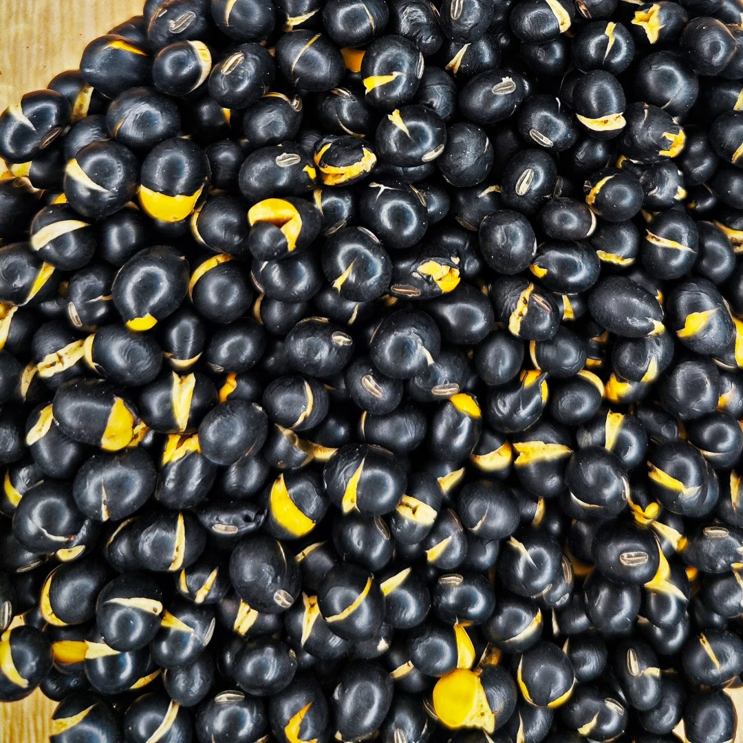 炒黑豆500克180g瓶装即食零食湖南浏阳特产杂粮