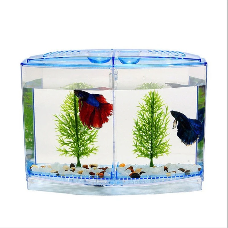大号双格斗鱼盒生态斗鱼缸迷你水族箱塑料隔离盒繁殖盒斗鱼孔雀鱼
