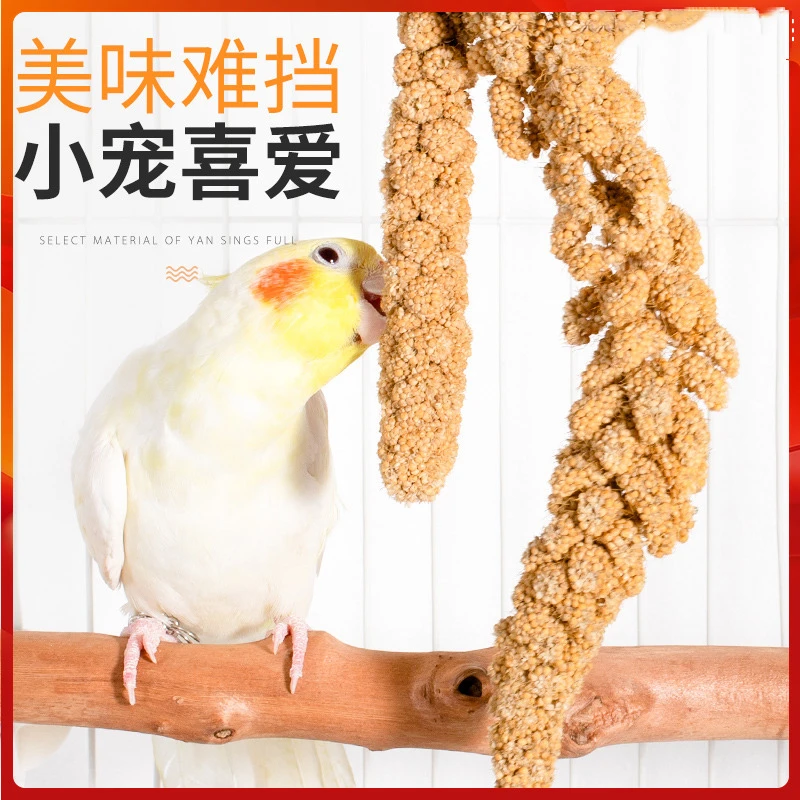 鹦鹉天然谷穗带壳黄谷子小米玄凤虎皮饲料鸟粮鸟食文鸟珍珠鸟零食