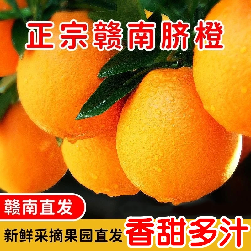 友蓝【正宗江西赣南脐橙】赣南脐橙带箱20斤装鲜甜多汁果园直发