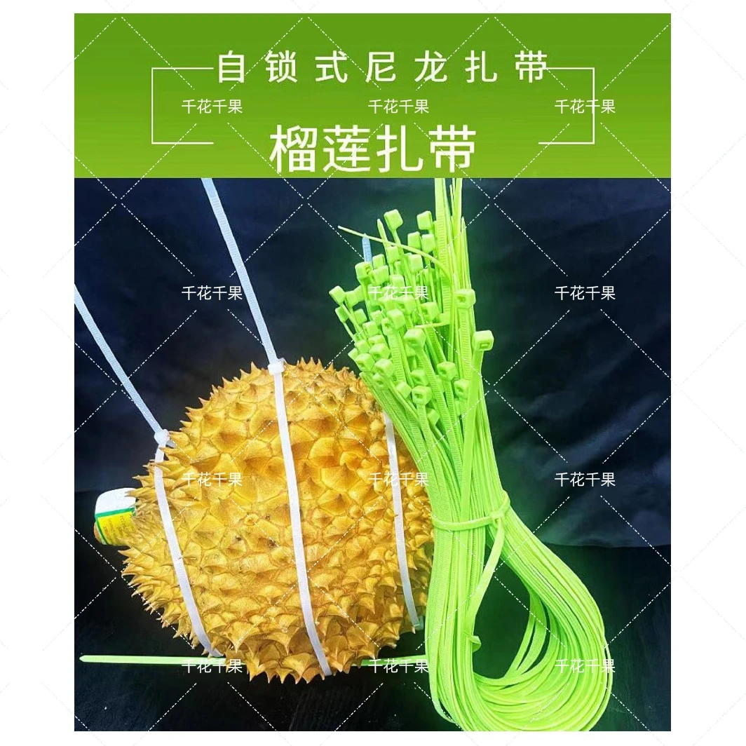 榴莲自锁式扎带尼龙材质5*650长扎带65长