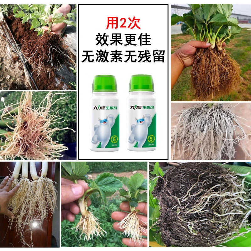 【厂家直销】大力雄生根剂生根液爆发生根叶面肥水溶肥活化土壤