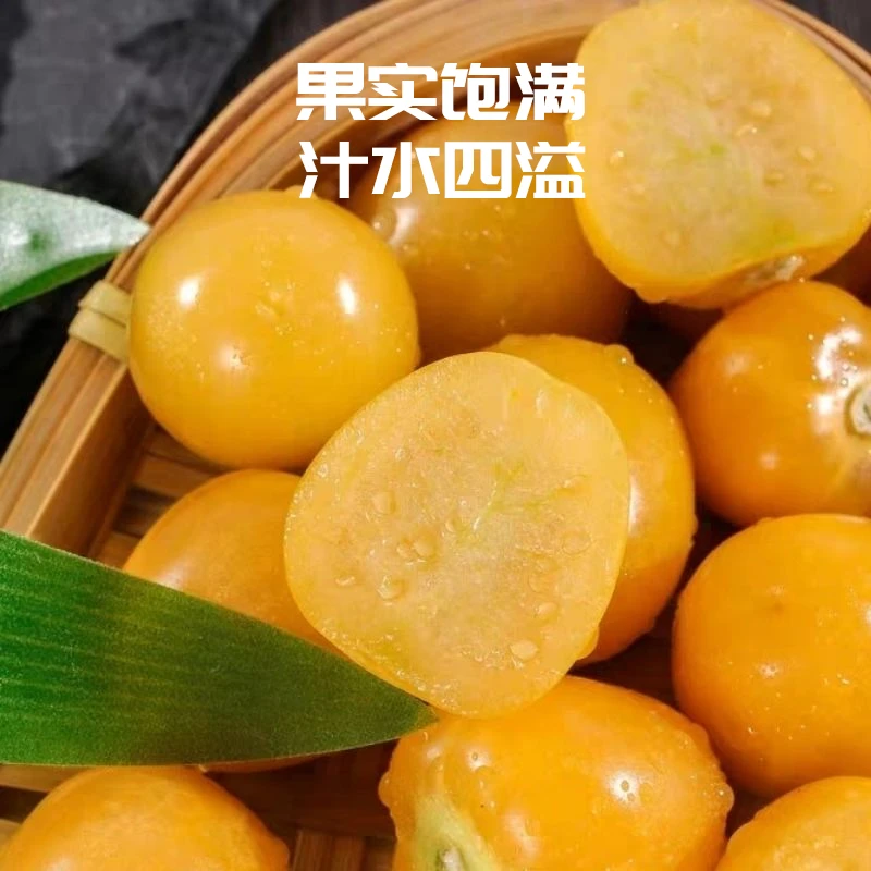 牡丹江特产大地灯笼果熟果干皮产地直发