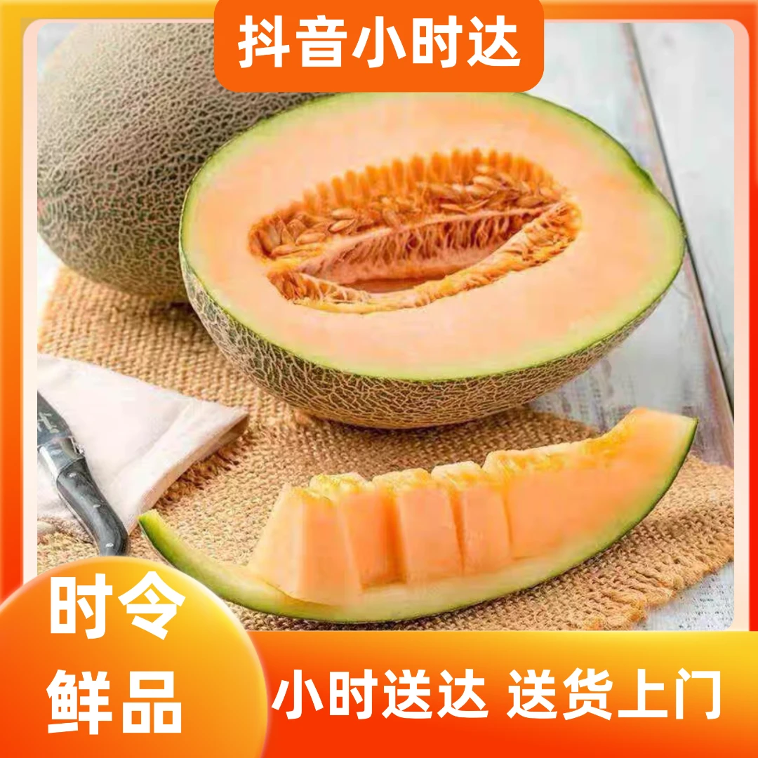 新鲜应季水果超甜小蜜哈密瓜1个(重量约1500g)