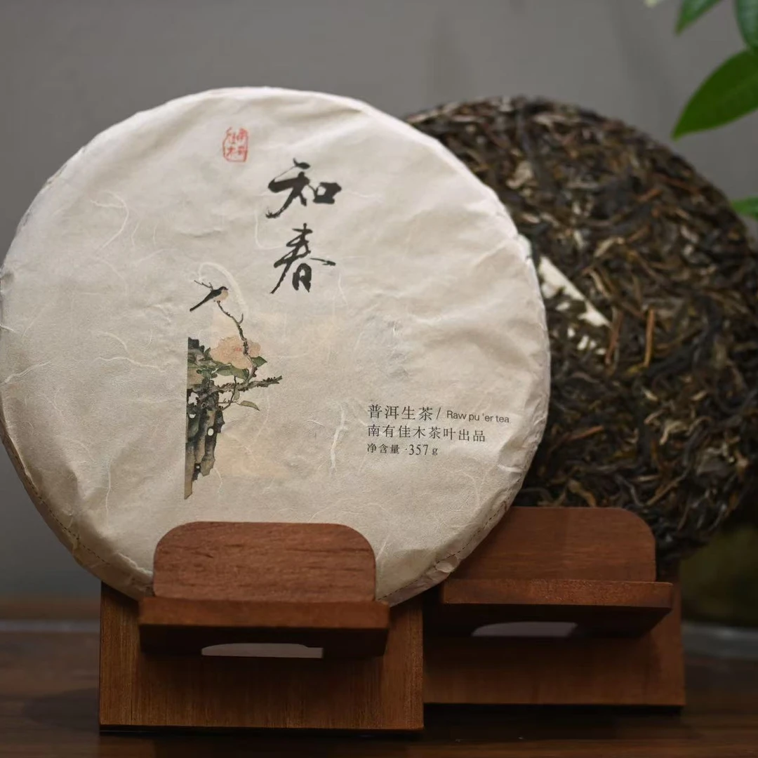 知春-2021年临沧高山蜜香大树（头春头采）357克茶饼花香迷人