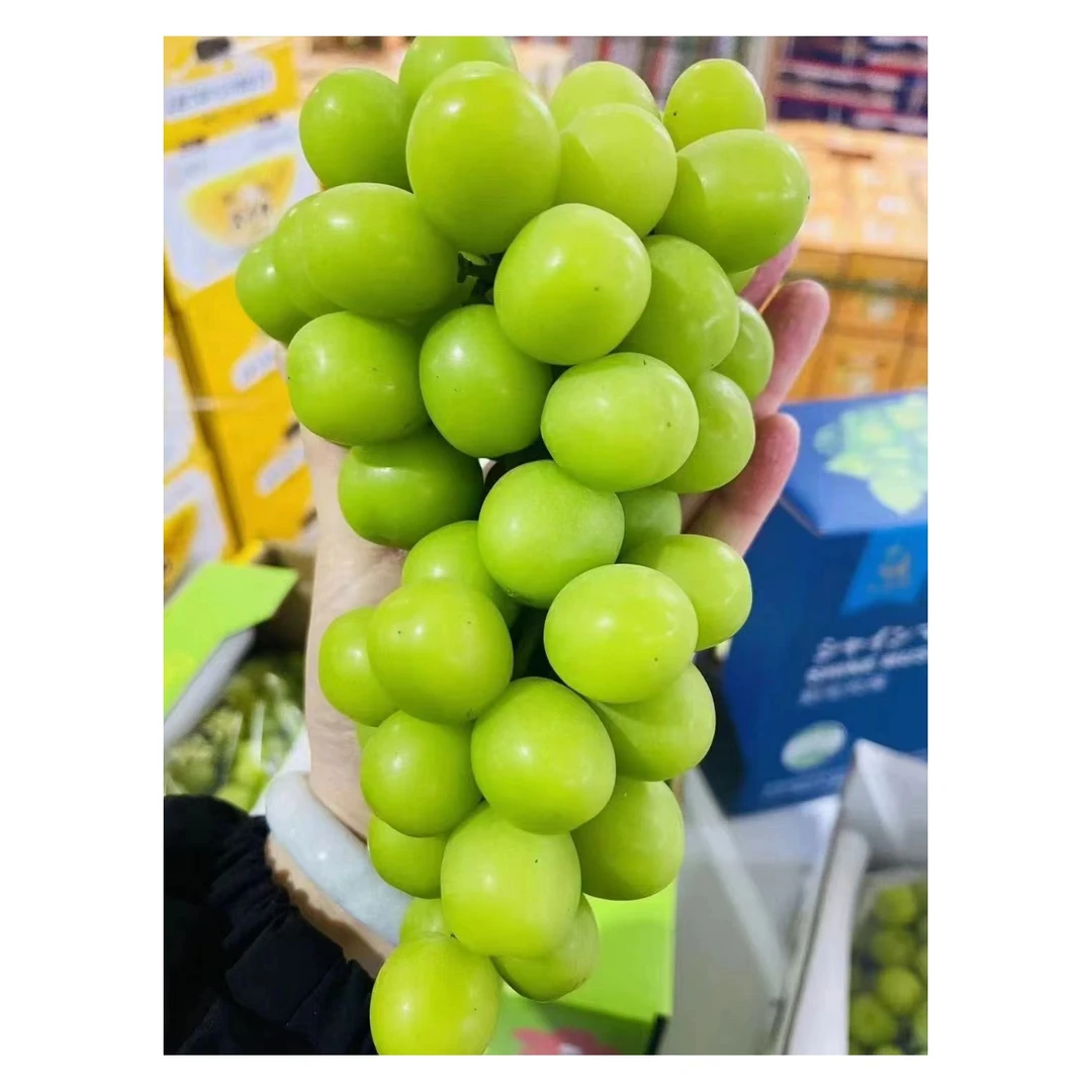 阳光玫瑰2斤装
