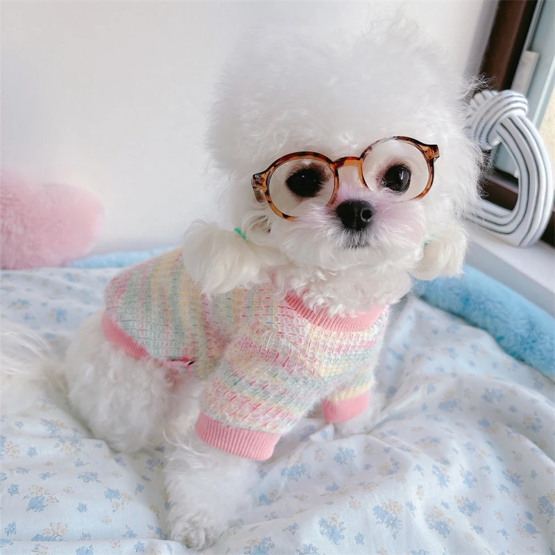 糯米家 ins宠物犬眼镜韩国摆拍凹造型可爱猫狗墨镜配件小型装饰品