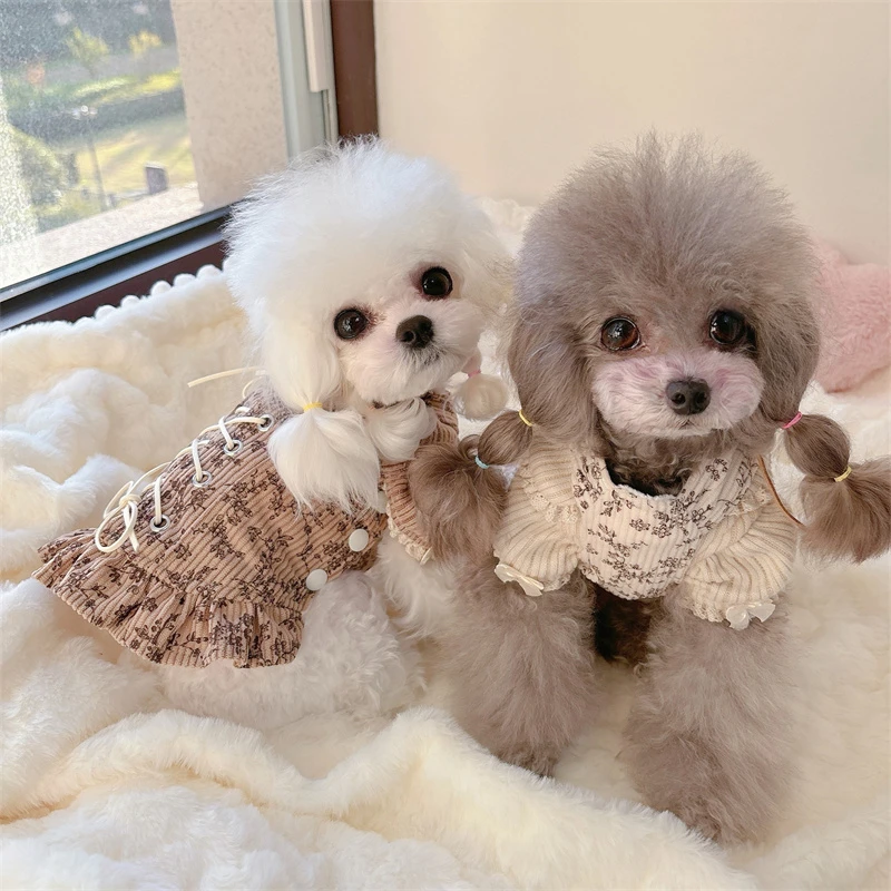 小型冬加绒美拉德复古灯芯绒绑带背带裙泰迪比熊小马保暖猫狗衣服