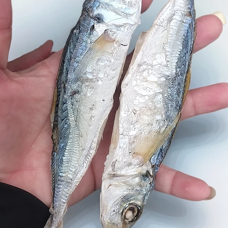 金厢鲜晒本港巴兰鱼