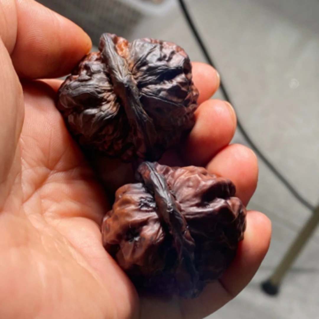 全品地闷蛤蟆头尺寸随机