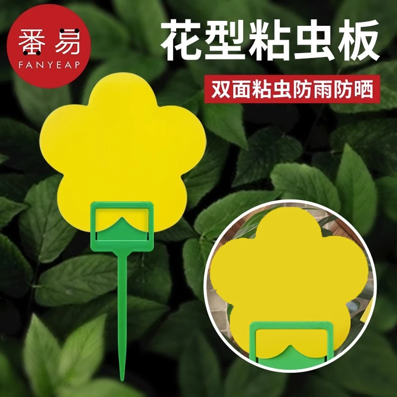 粘虫板B1p50-小黄板粘虫板沾虫纸家用果蝇诱捕器小黑飞粘板