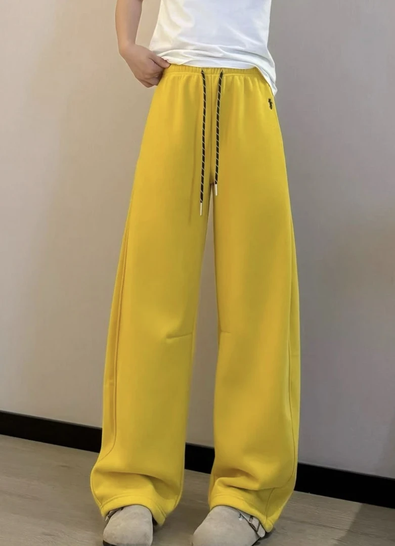2420.加绒加厚小马刺绣休闲裤女秋冬新款高腰宽松显瘦百搭阔腿裤