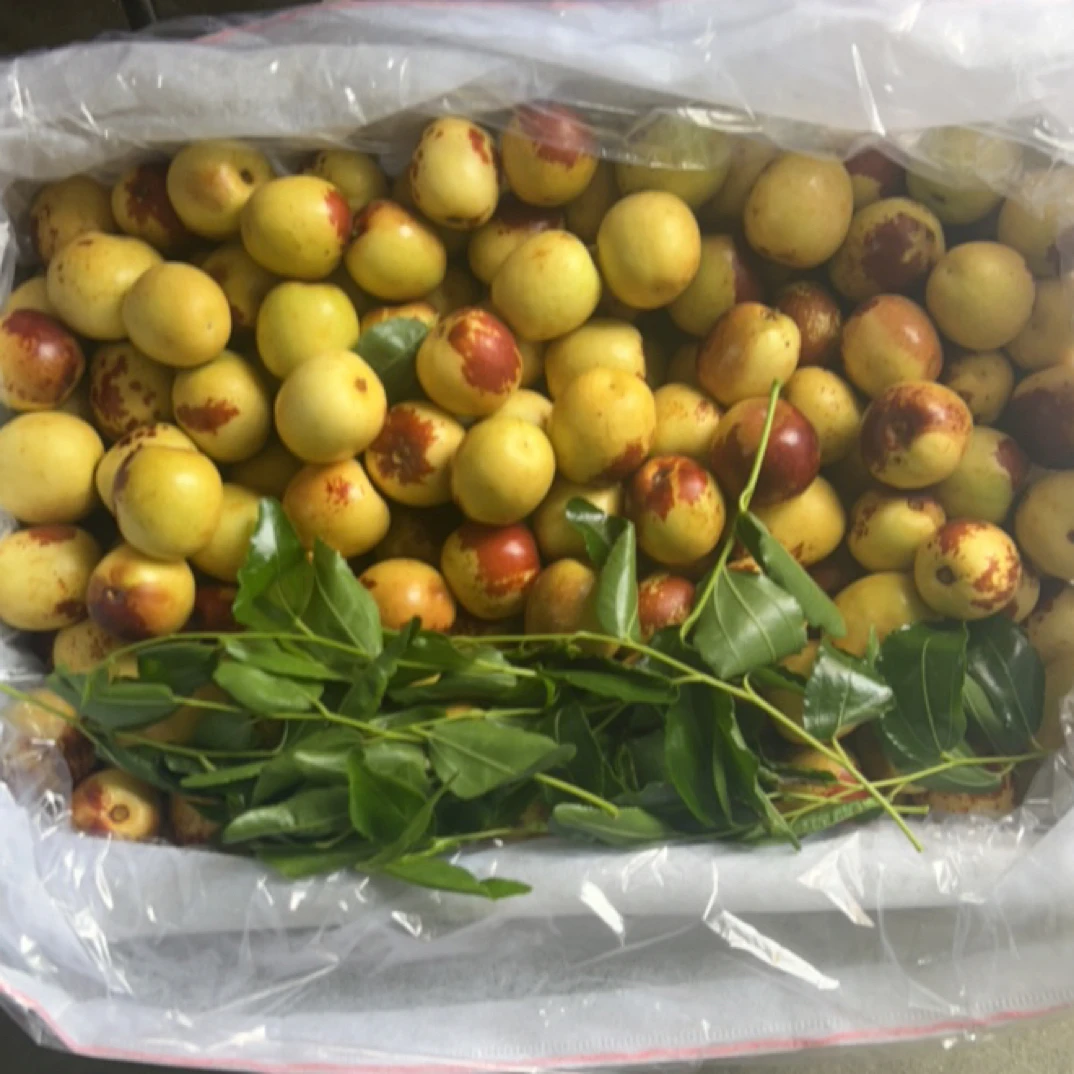 【南疆脆冬枣】简直不要太好吃
