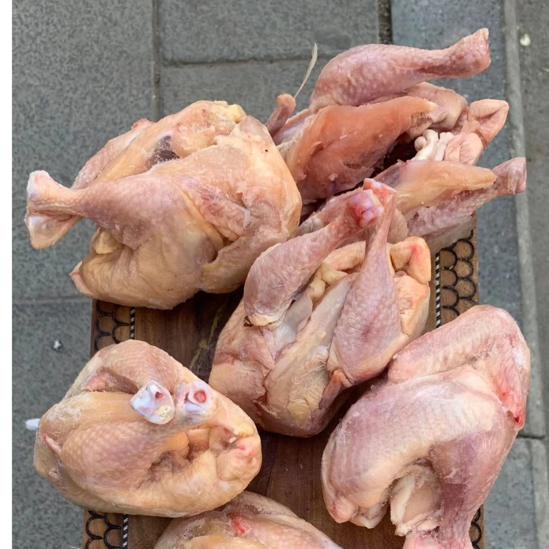 新疆特产自养鹌鹑肉 10个装 1300g