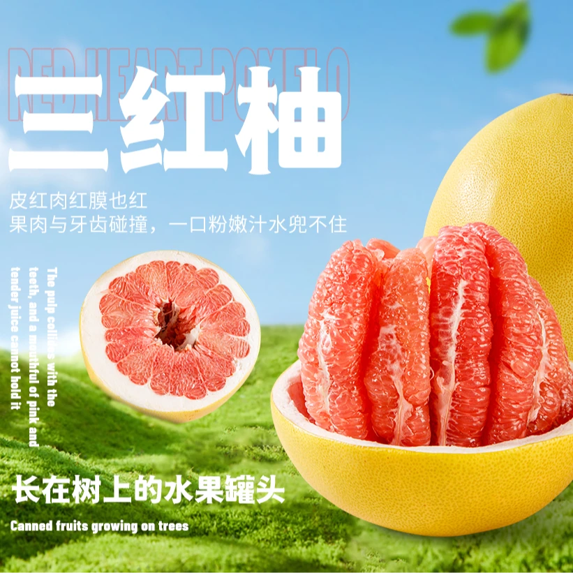 【福建平和三红蜜柚】果园现摘现发皮薄肉厚颗粒饱满汁水丰富