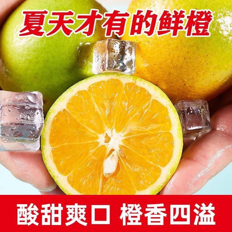 湖北秭归夏橙酸甜可口夏天榨汁超爽新鲜产地直发