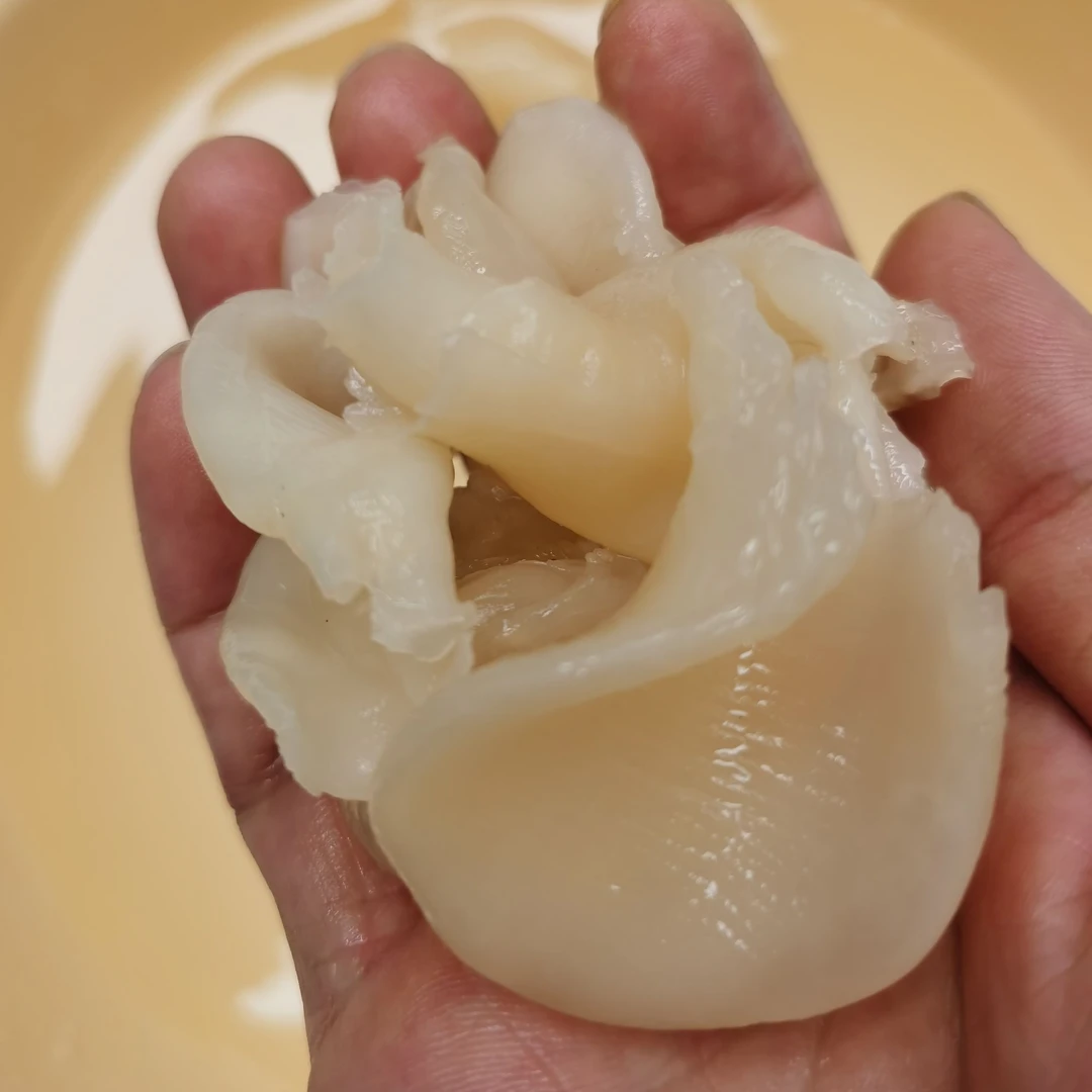 小小珍珠胶 鱼胶花胶 煮汤 奶冻 焖鸡焖鸭