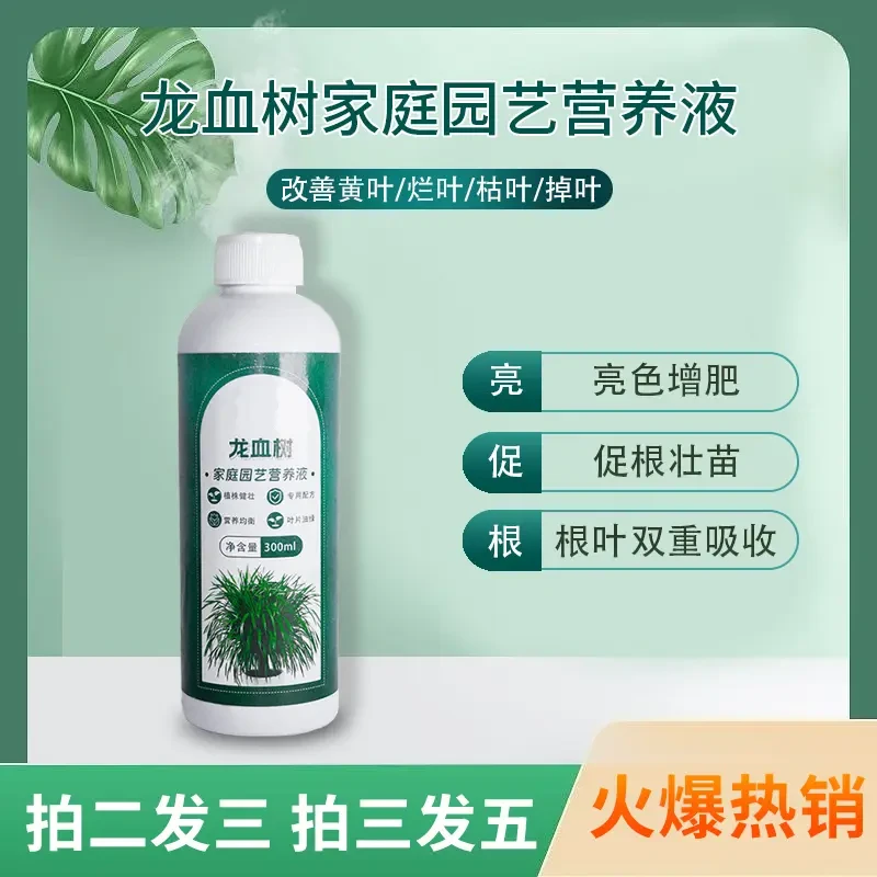 【龙血树专用营养液】龙须树增肥催芽防黄叶枯叶烂根生长浓缩营养液