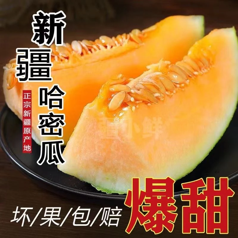 新疆哈密瓜西州蜜17号网纹甜瓜应季水果新鲜多汁脆甜爽口