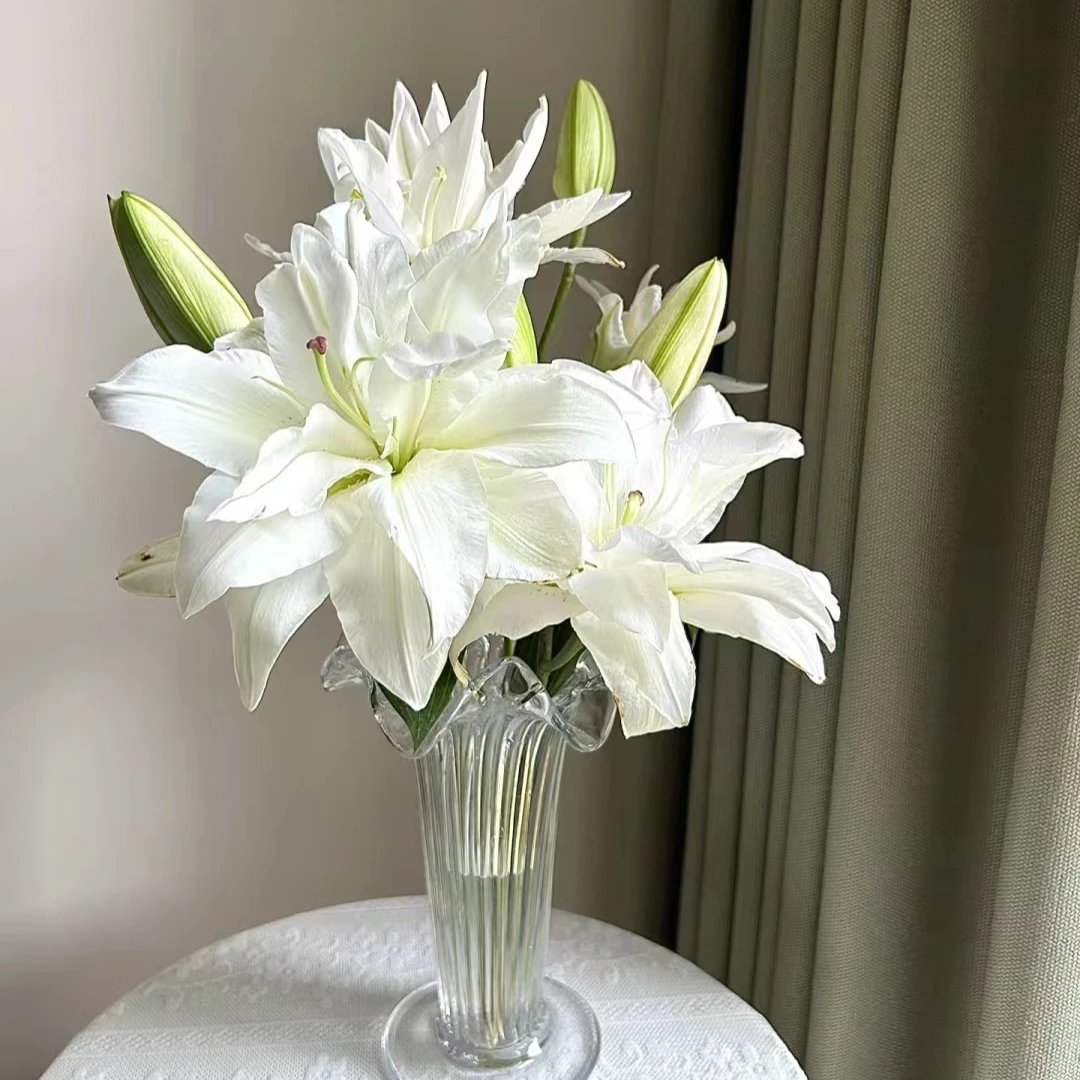 云南百花园基地 {滑雪板 百合 5枝} 包邮 送保鲜剂