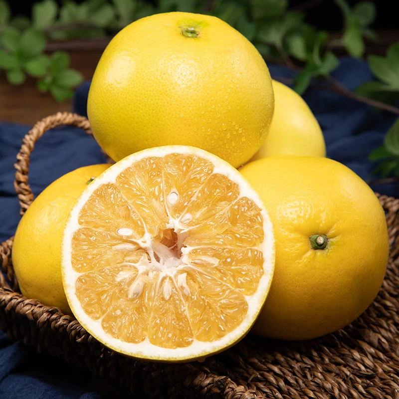 【黄金爆汁老树葡萄柚】当季薄皮果园现摘新鲜清甜多汁
