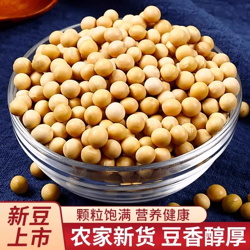 【农家黄豆】贵州农家自产黄豆天然晒干磨豆浆打豆花用