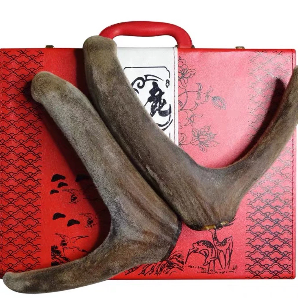 东北特产新鲜鹿茸 梅花鹿干鹿茸整支 泡水 煮茶 打粉