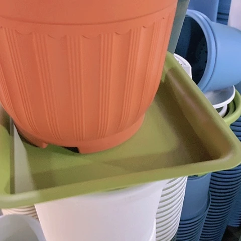 红陶20CM（含）-50CM（不含）24口红罗马无托4个