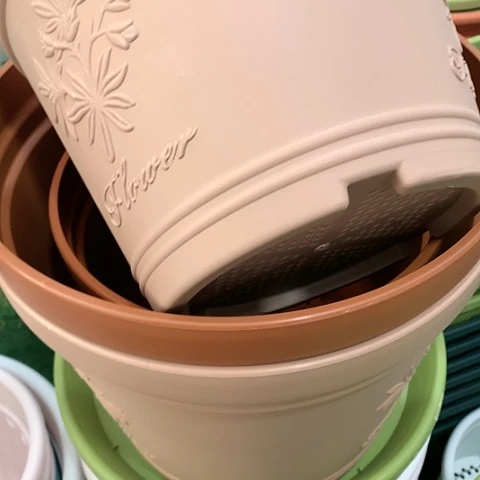 树脂欣***122.6口粉浮雕无托3个