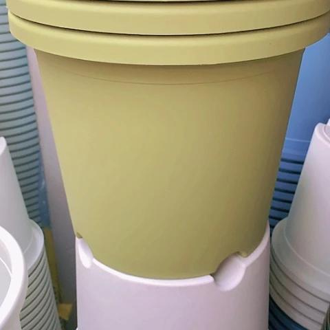 红陶20CM（含）-50CM（不含）4加果绿无托6个