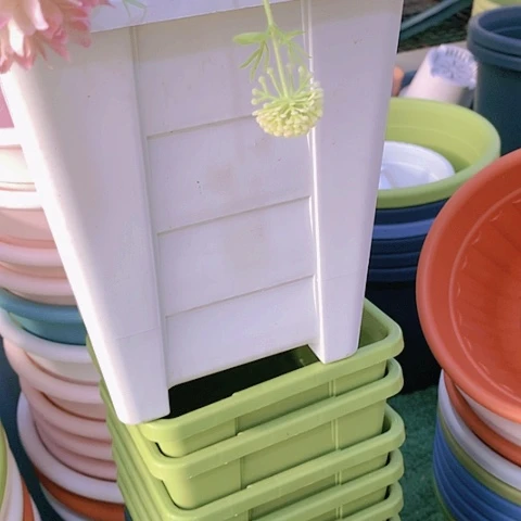 红陶20CM（含）-50CM（不含）19口白方无托6个