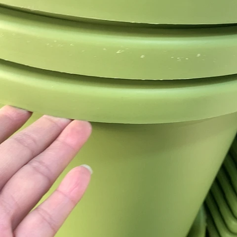 红陶6加果绿无托微瑕3个