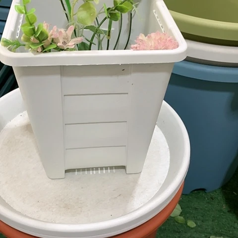 树脂20CM（含）-50CM（不含）19口白方无托微瑕6个