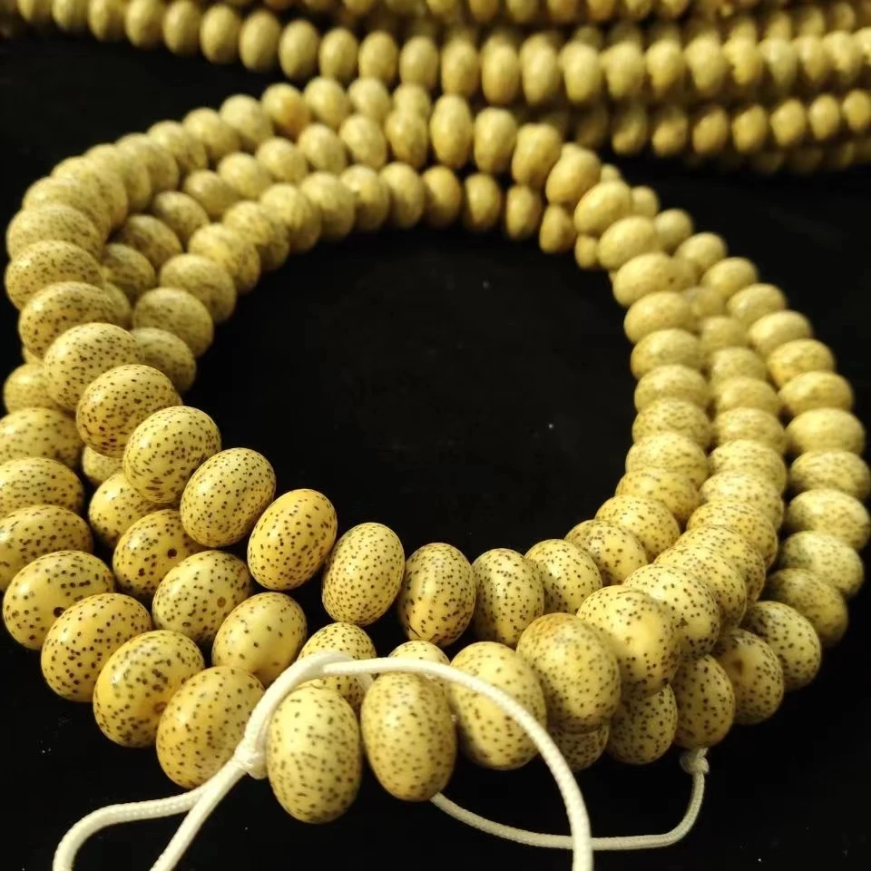 正宗海南星月菩提原生态高油高密算盘珠玄月1.3/120星月菩提河豚