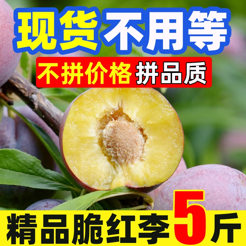 【珍珠脱骨李】四川脆红李半边红应季水果黄肉脱骨非青脆李