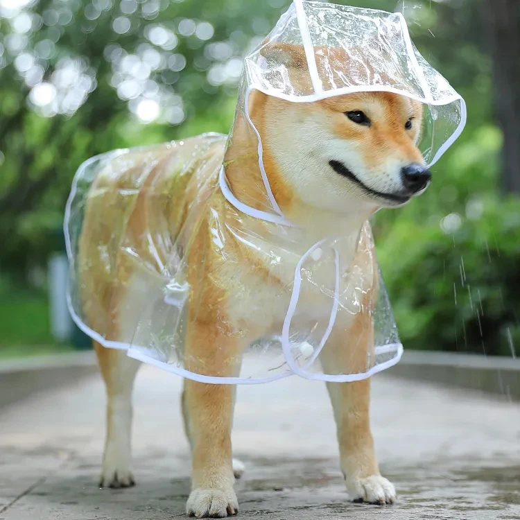 狗狗雨衣泰迪中小型犬新款耐磨透明时尚防水雨披雨天宠物雨衣