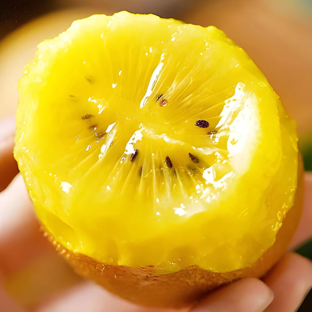 PFA（国产黄金奇异果当季精品新鲜巨无霸）孕妈家庭健康首选猕猴桃