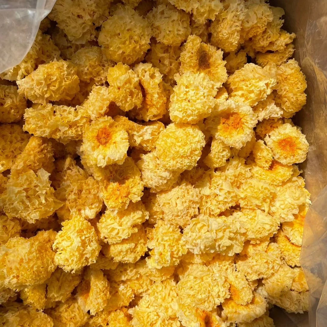 古田银耳 嘢嘢 小朵紧密 胶质多